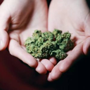 THC-A